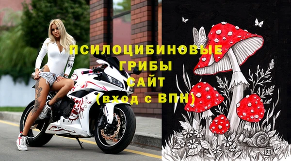 дмт Липки