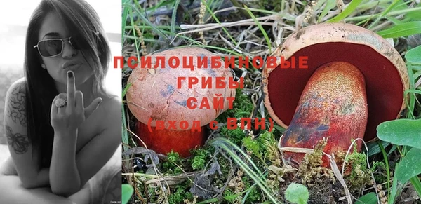 дмт Липки
