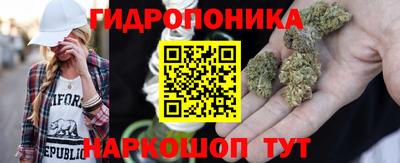 крисы Изобильный