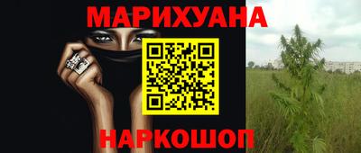 крисы Изобильный