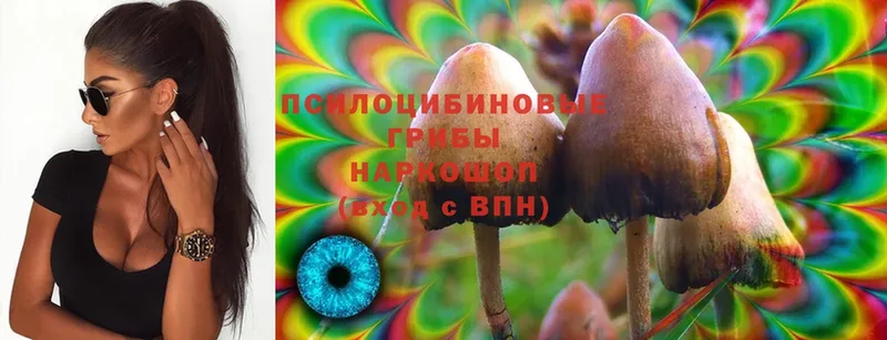 Галлюциногенные грибы MAGIC MUSHROOMS  где продают наркотики  Кострома 