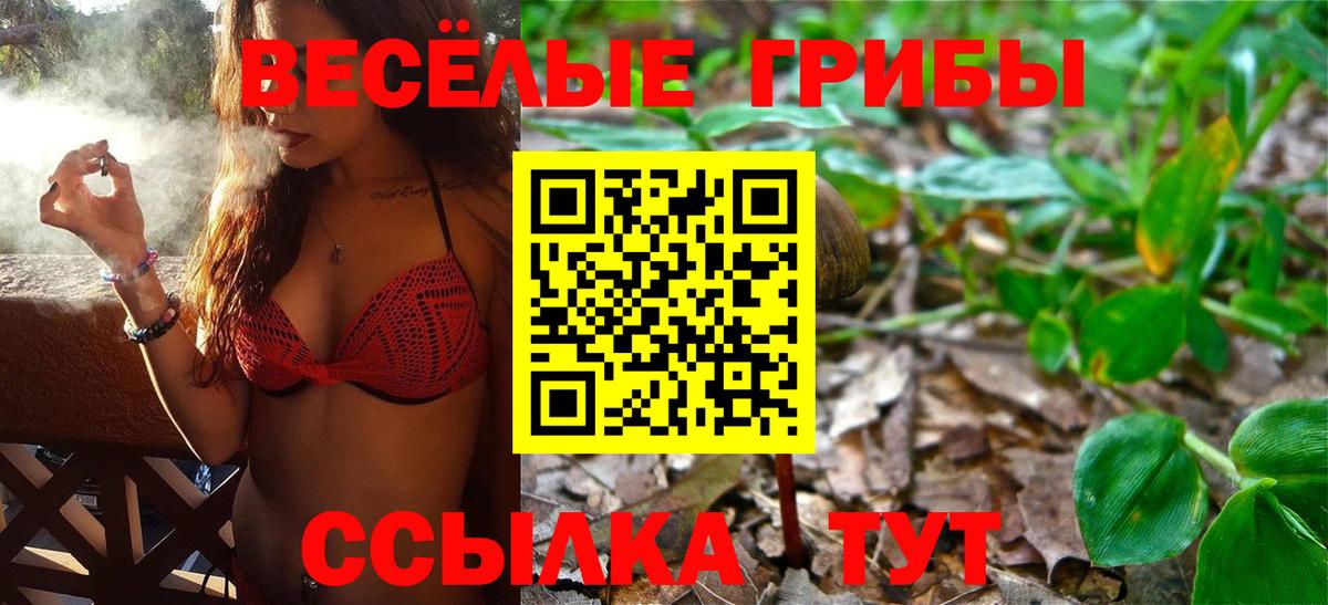 Галлюциногенные грибы MAGIC MUSHROOMS Кострома