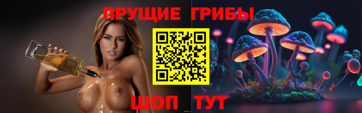 Псилоцибиновые грибы мицелий  Вход с VPN  Кострома 