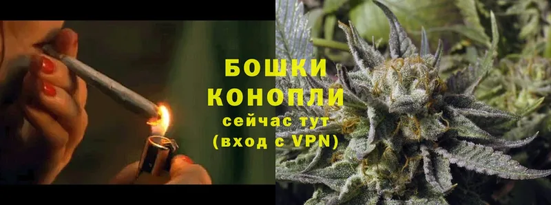 Каннабис SATIVA & INDICA  купить   Кострома 